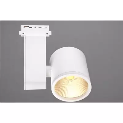/resimler/cacheweb/urunler/-alrs-3023-tavan-led-ray-spotlar-40-watt-renk-beyaz-kasa1_4726.webp?v=639084057693721311