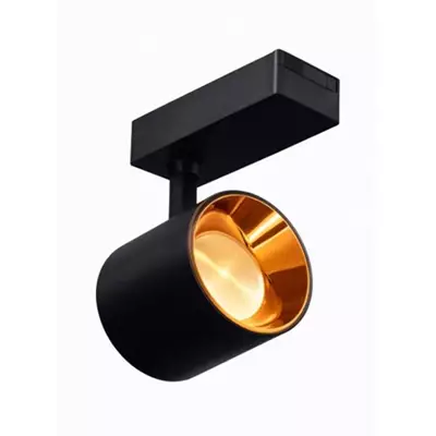 /resimler/cacheweb/urunler/30-watt-tavan-led-ray-spotlar-alrs-3025-renk-siyah1_4723.webp?v=639083627341152253