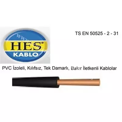 /resimler/cacheweb/urunler/hes_nya_kablo_35_lik_h07v-r__(metre)1_3871.webp?v=636992560292349390
